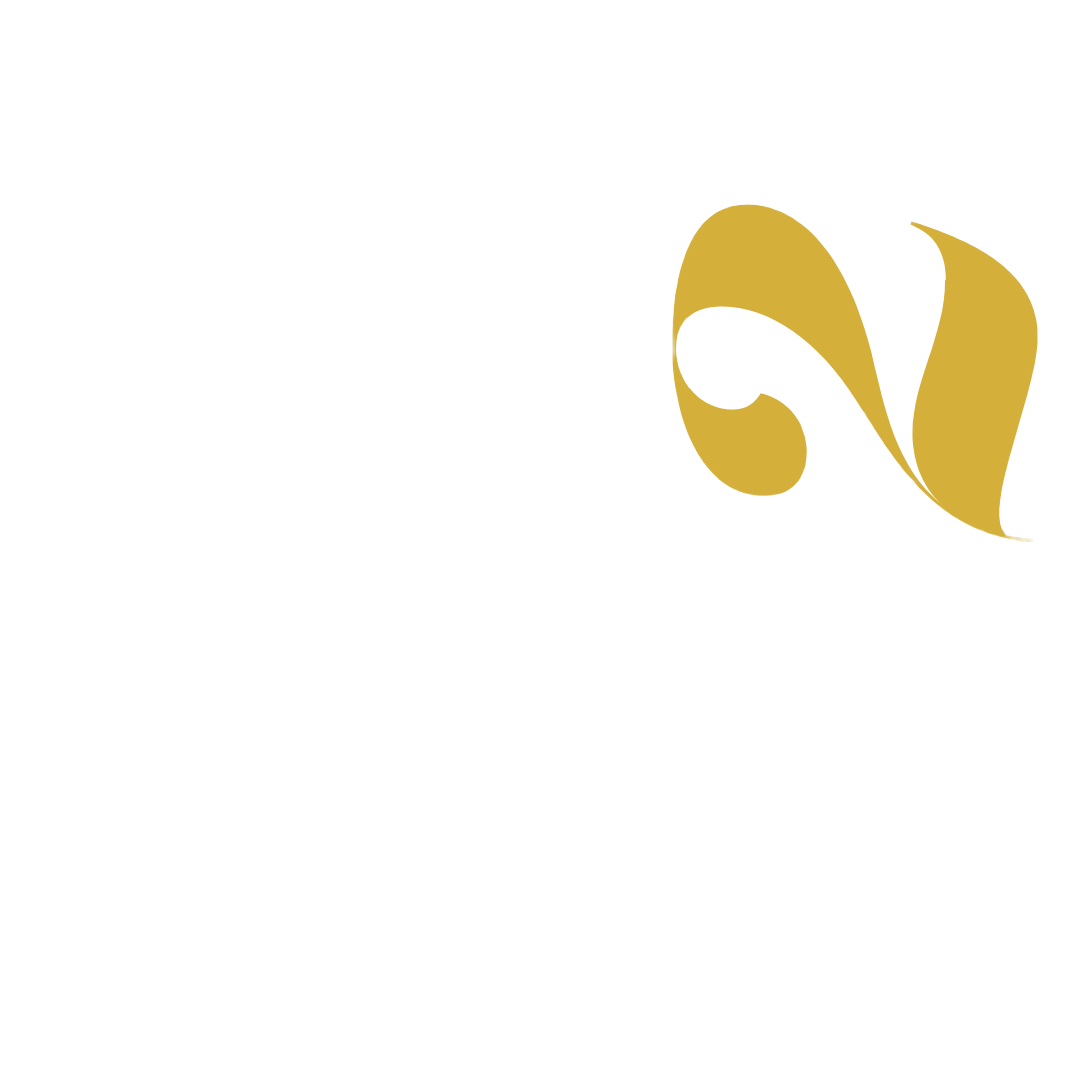 GO2MNE Tourism Agency